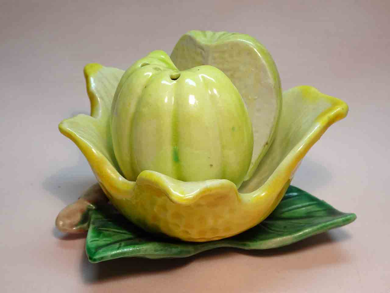 Novelty Salt & Pepper Shakers Club