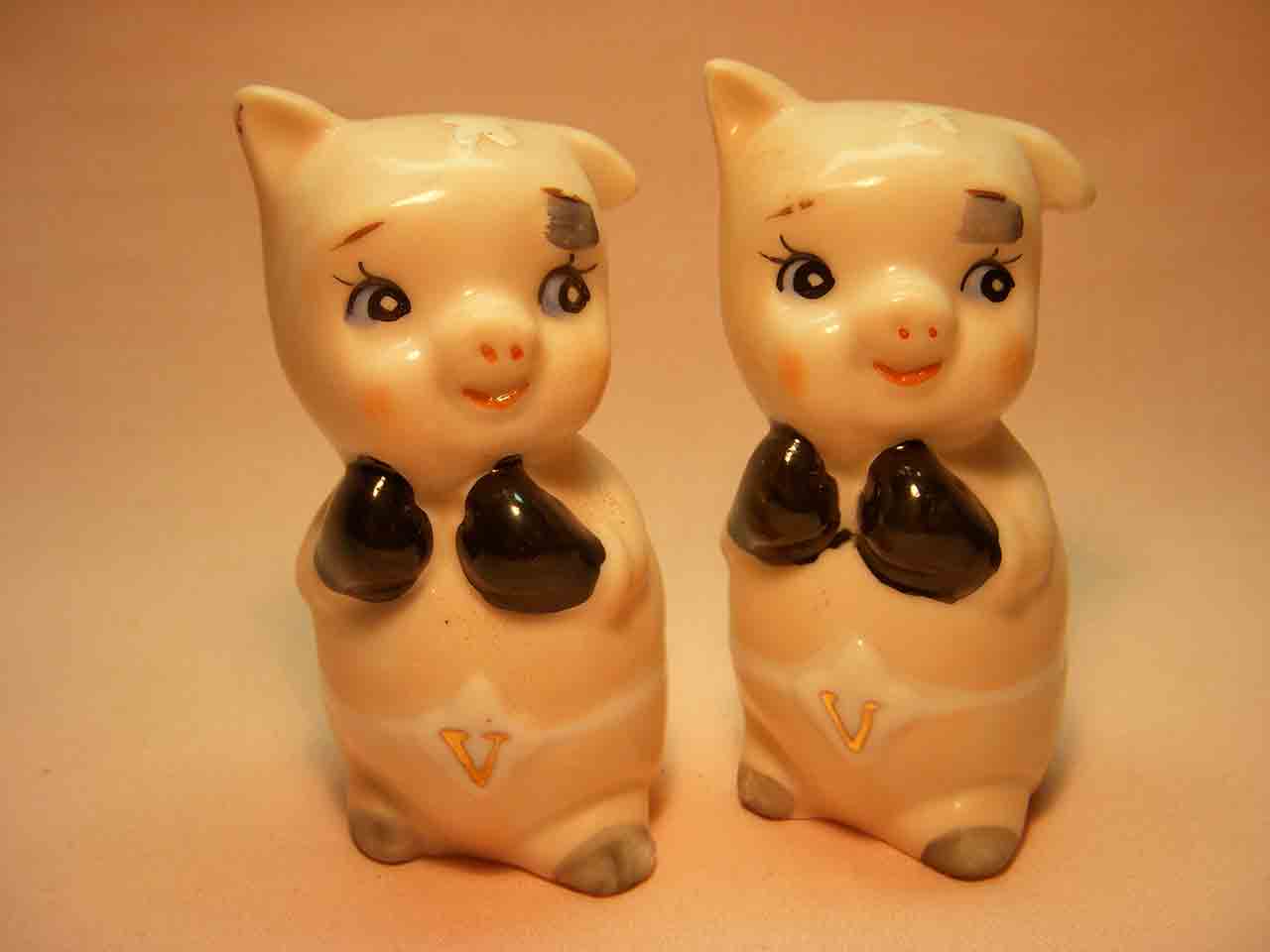Novelty Salt & Pepper Shakers Club